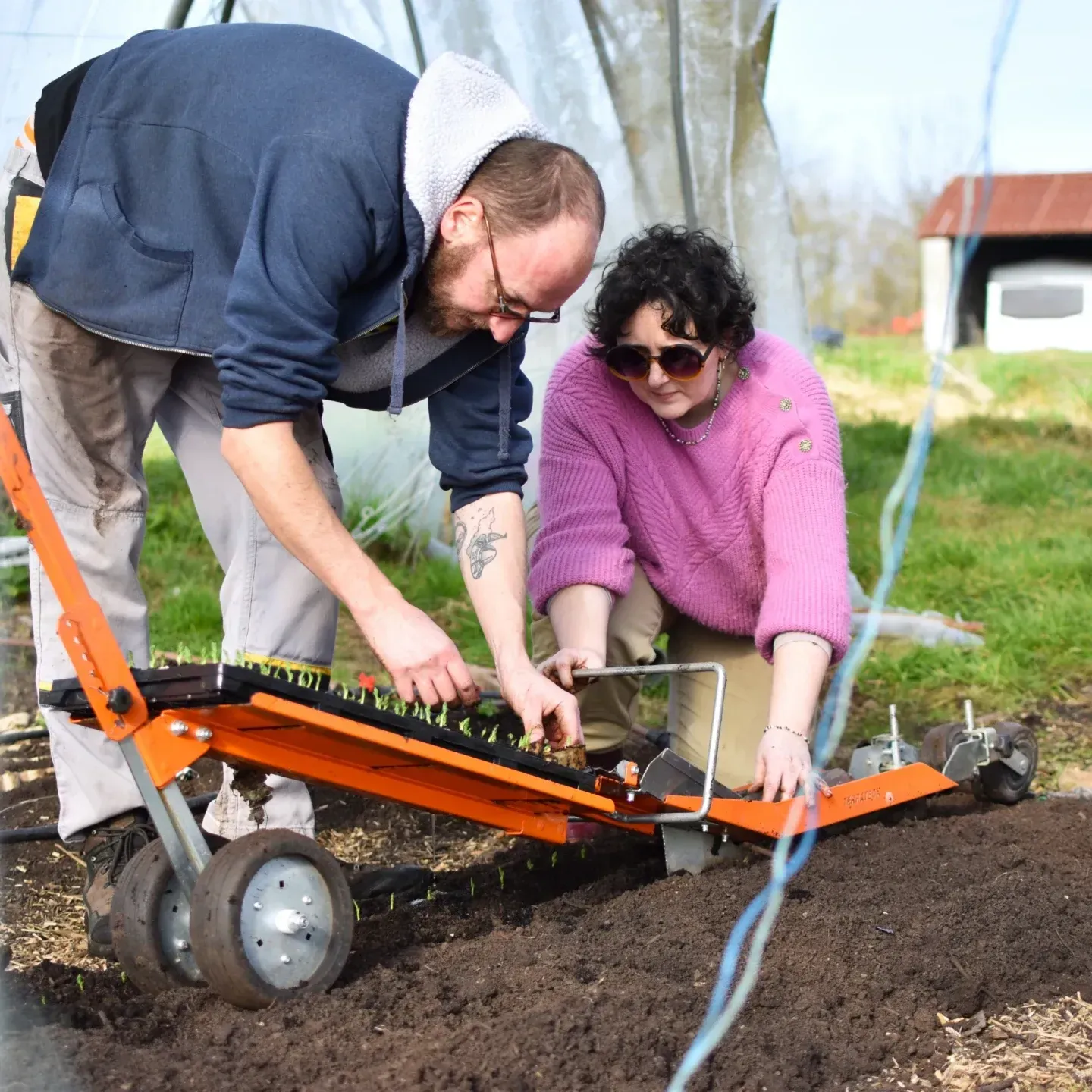 Deux personnes repiquant de jeunes plants dans une serre, aidées d'une planteuse mécanique orange.
