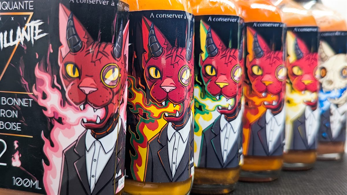 Bouteilles de sauces La Bouillante alignées, leurs étiquettes illustrées d'un chat en costume dans des couleurs différentes.