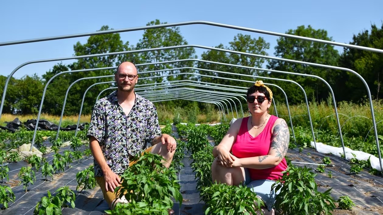 Deux personnes accroupies au milieu de jeunes plants de piments, sous les arceaux d'une serre.